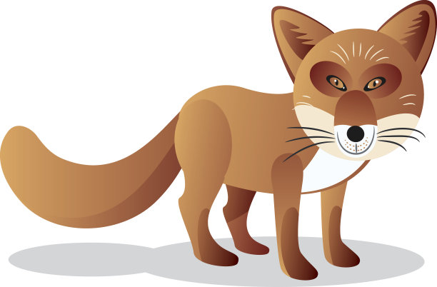 北海道红狐狸图片下载