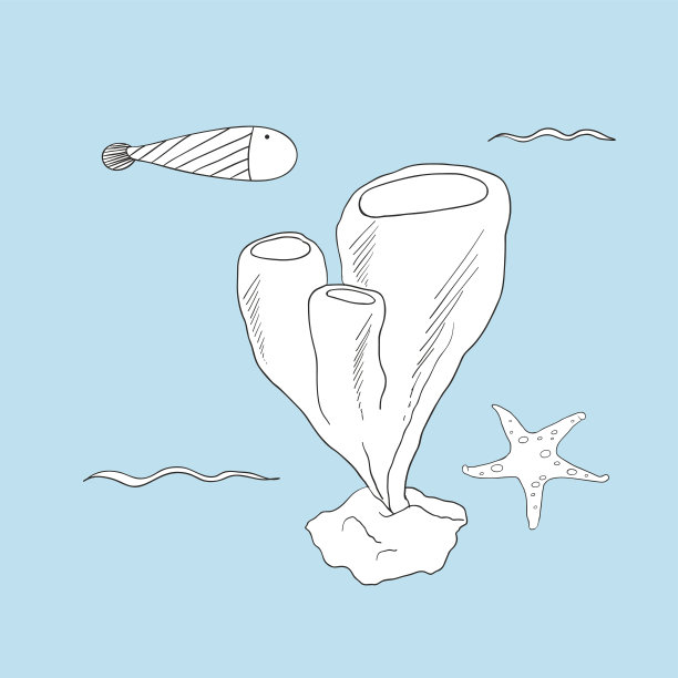 水下生物矢量图图片下载