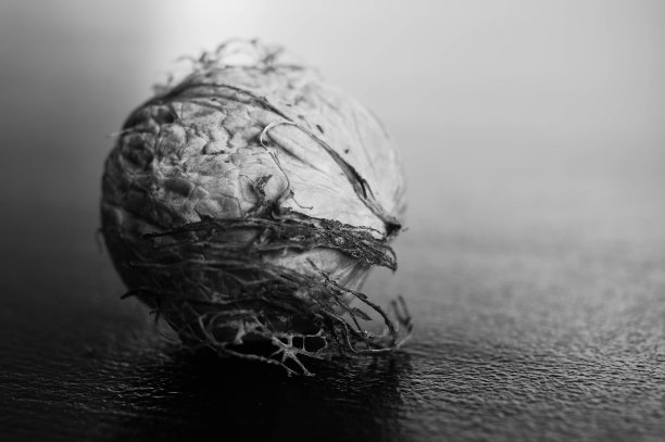 核桃特写镜头图片下载