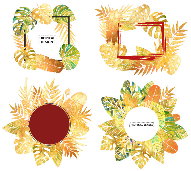 设置四个美丽的框架与水彩热带树叶孤立在白色图片下载