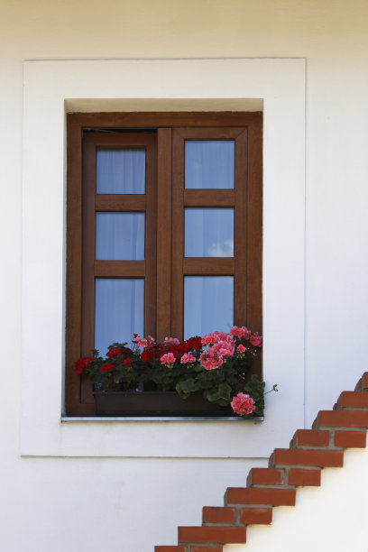 老房子的窗户上有花图片下载