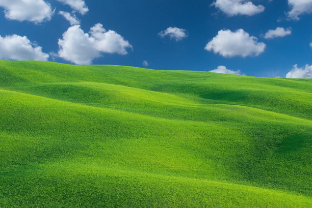 绿色田野T图片下载