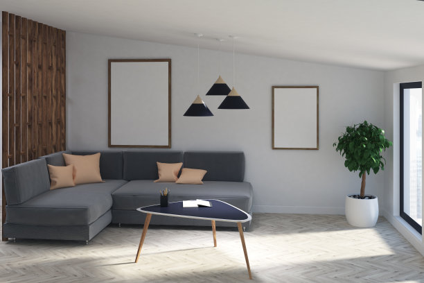 客厅里有两张海报，灰色的沙发，树图片下载