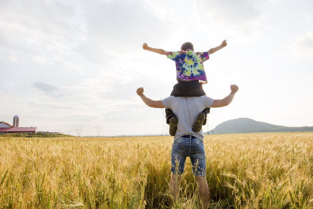 在一个温暖的夏日里，一位年轻的父亲带着他的小儿子走在麦田里图片下载