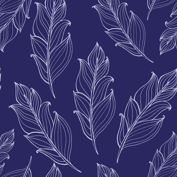 手绘涂鸦羽毛图案。矢量手绘潮人插图。美国土著印第安人的传统象征，部落和民族波西米亚的主题。图片下载