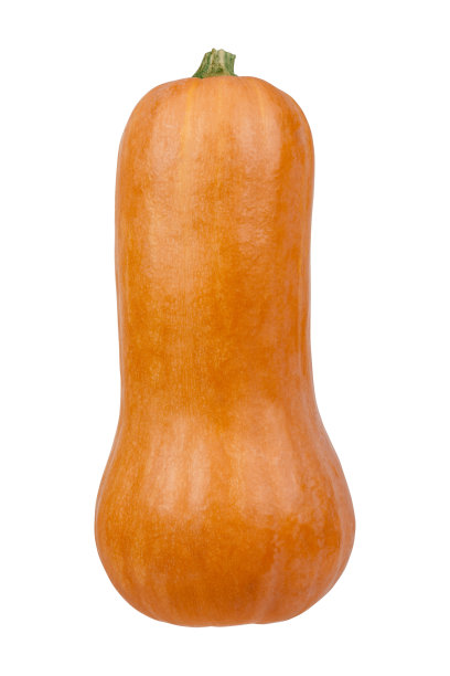 白南瓜图片下载