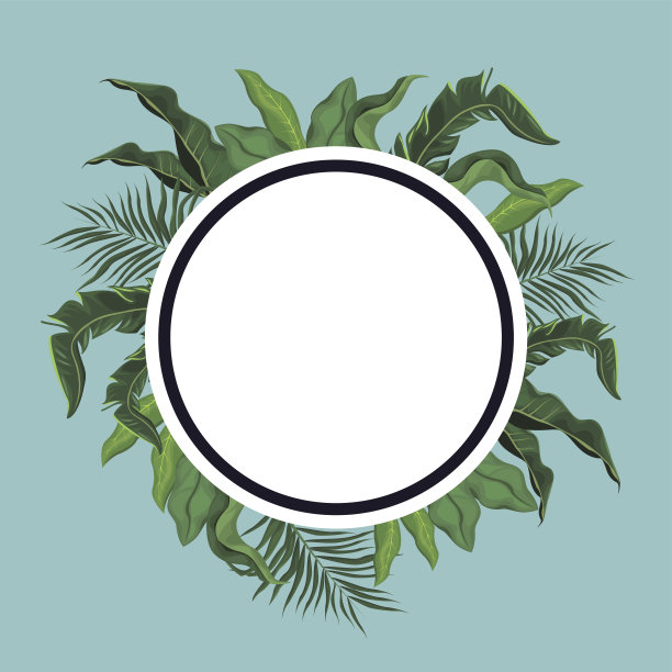 标签热带叶棕图片下载