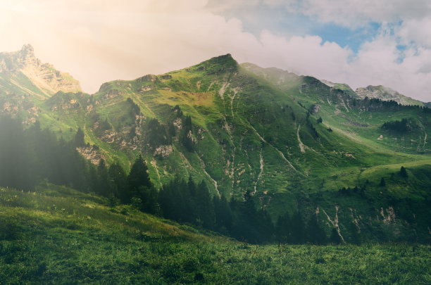 瑞士清晨的日出和森林。图片下载