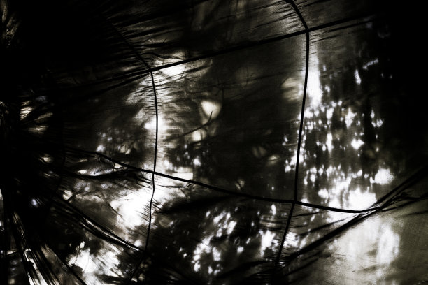 仰望挂在树枝上的降落伞图片下载