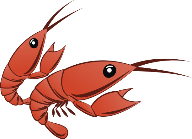 卡通虾孤立图片下载