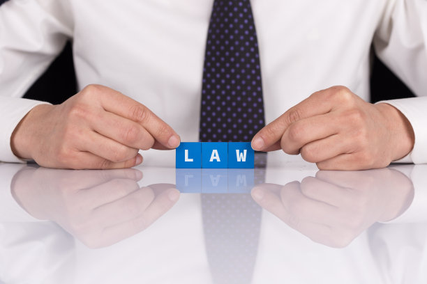 单词“LAW”和积木图片下载