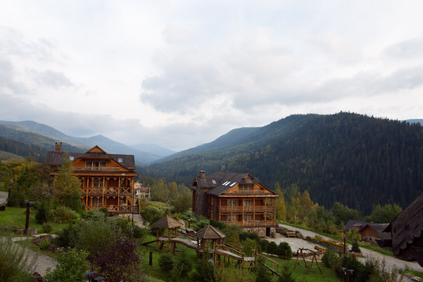 旅游中心的老式木屋周围有桦树和秋天的草和植物。阿尔卑斯风景区位于冷杉林风景区图片下载