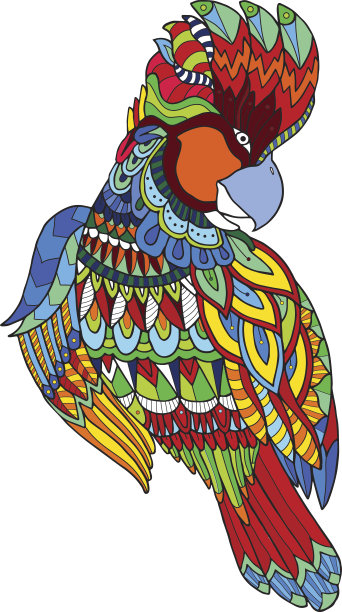 风头鹦鹉鹦鹉图片下载