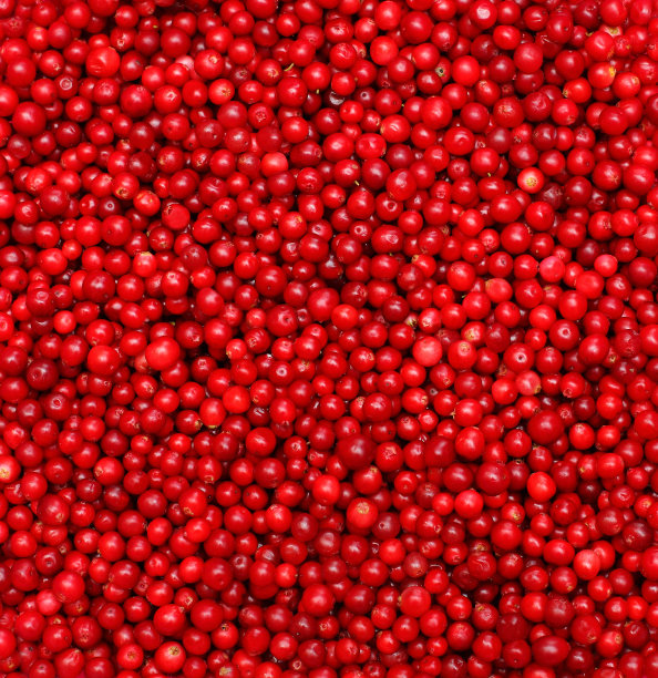 红色浆果，食物背景图片下载