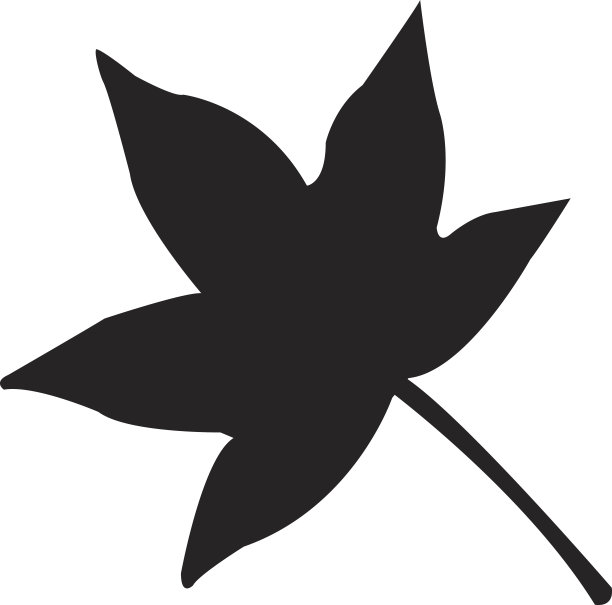 秋天的树枫叶矢量图标孤立在白色的背景图片下载