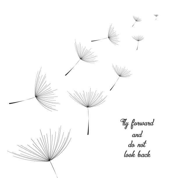 会飞的蒲公英黑色。抽象的蒲公英背景图片下载