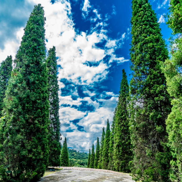 花园混凝土通道图片下载