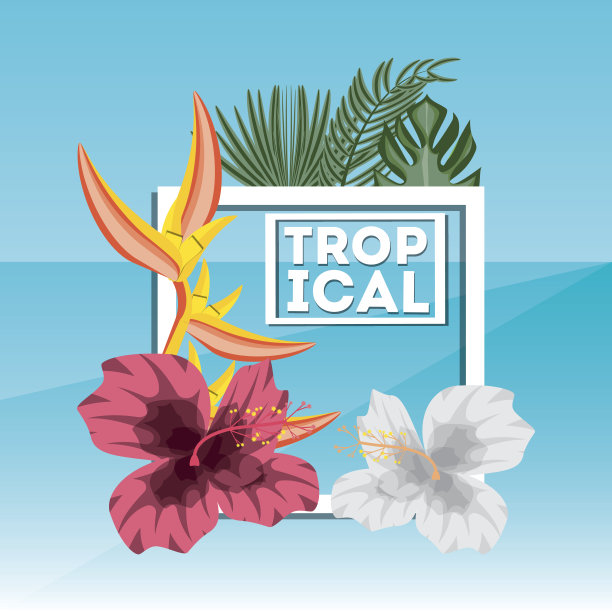 热带概念与美丽和多彩的花朵图片下载