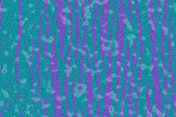 特写照片，电脑生成动物皮肤纹理斑点图片下载