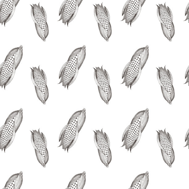 无缝矢量模式与玉米。包装纸或织物的设计模板。复古风格，手绘图形。图片下载