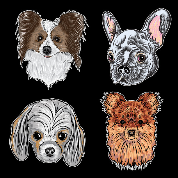 不同类型的卡通狗。手绘可爱的小狗。插图设置与微笑的宠物狗。艺术犬矢量字符。蝶耳犬、法国斗牛犬、可卡犬、博美犬。图片下载