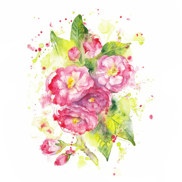 粉红色的樱花图片下载