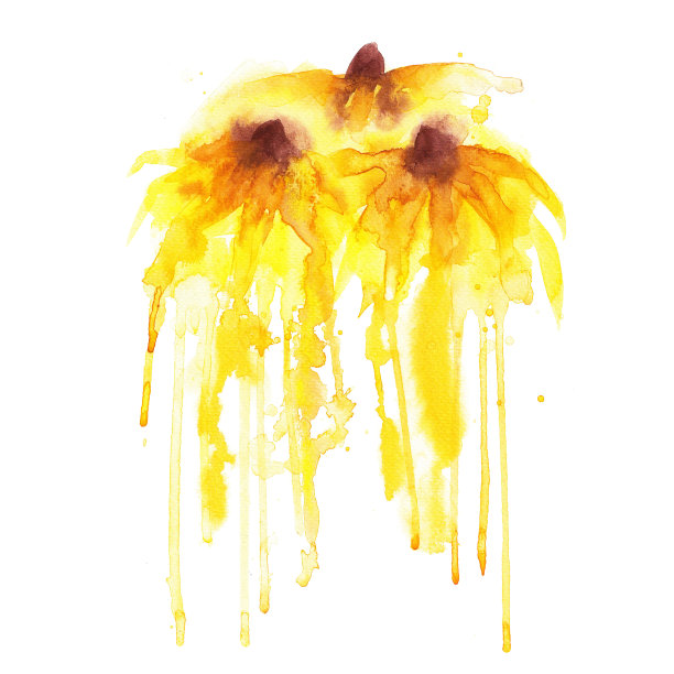 粉红色的花朵图片下载