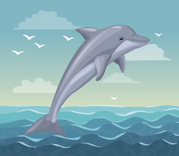 彩色海报海边与海豚哺乳动物在海洋图片下载
