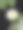 睡莲照片素材ID：310602192