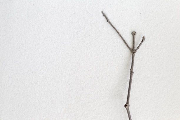 干木棒在白沙上图片下载