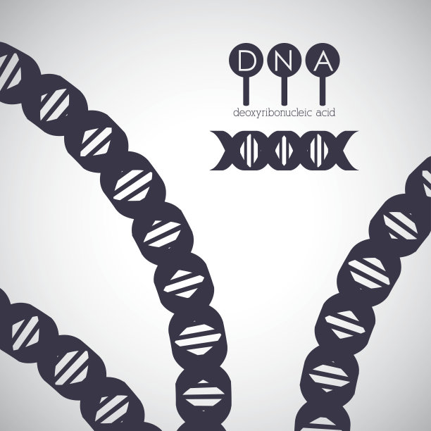 Dna结构染色体设计图片下载