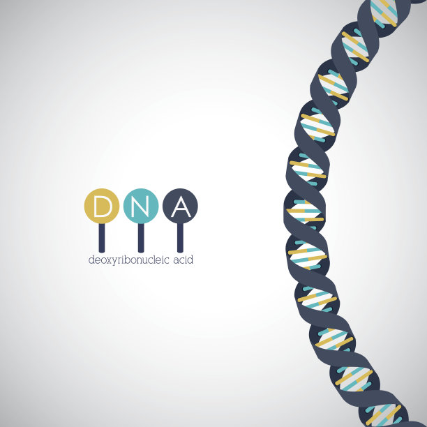 Dna结构染色体设计图片下载