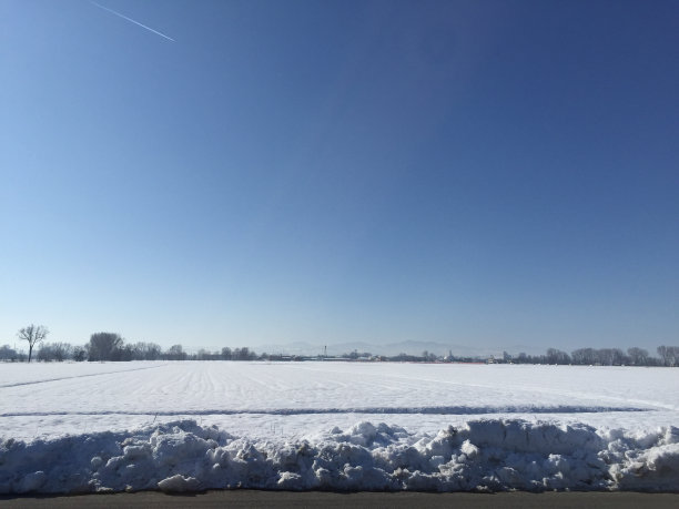 阳光下的白雪图片下载
