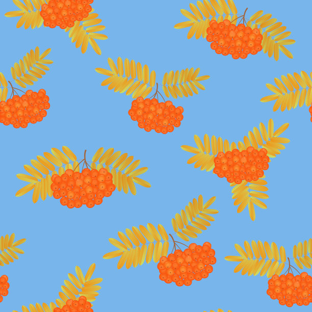 一束叶黄的花楸果图片下载