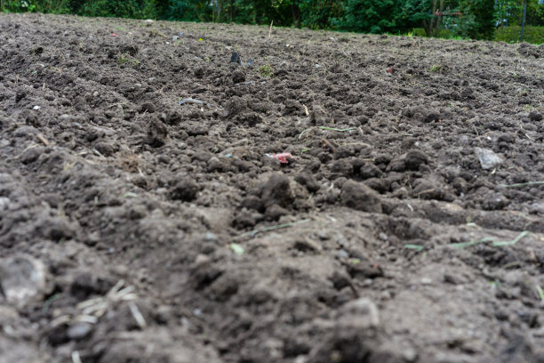 花园中用于种植花草的土图片下载