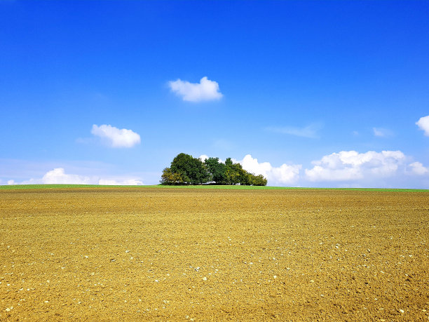 农田与金色的田野和树木景观图片下载