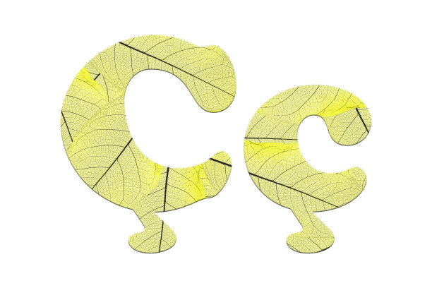 叶子纹理的字母在3D插图上的白色背景图片下载