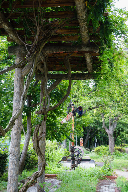 扎松公园图片下载