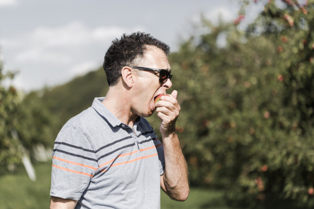 在管弦乐队里咬苹果的老男人图片下载