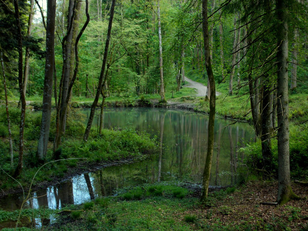 在湖边图片下载