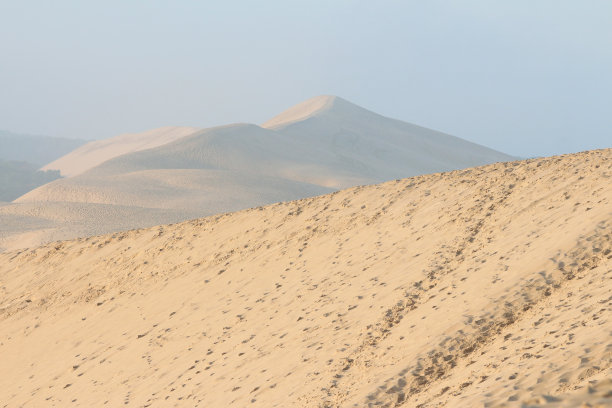 幽门沙丘图片下载