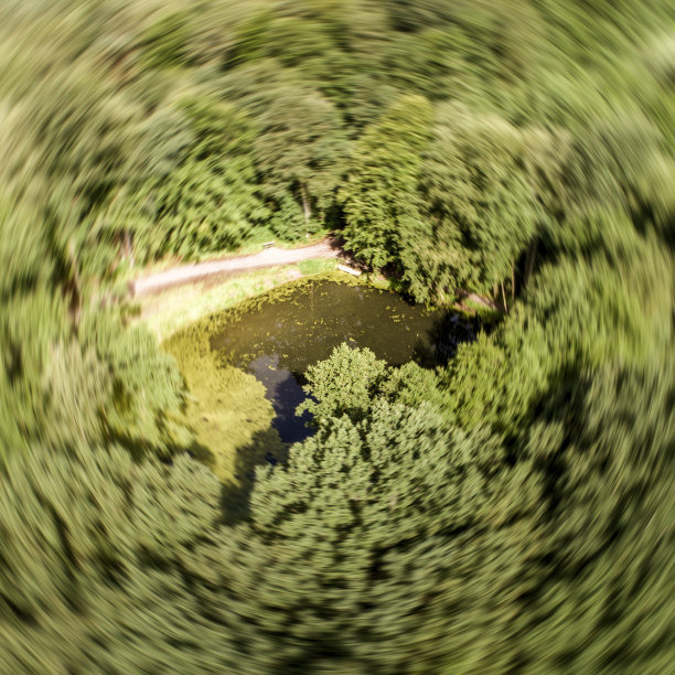 森林中一个池塘的抽象航拍照片，边缘模糊图片下载