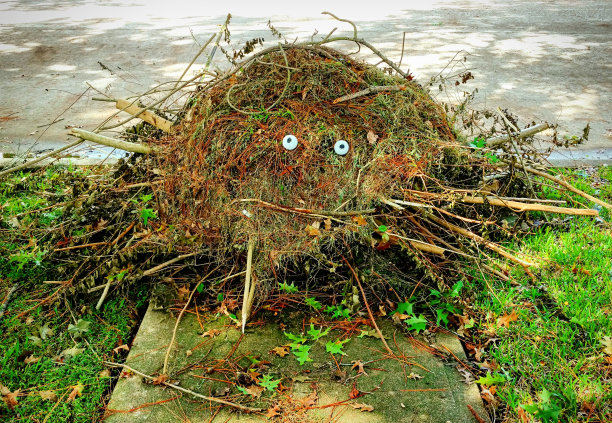 万圣节草坪碎片怪物图片下载