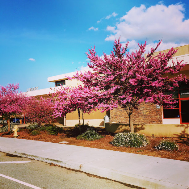 春天的季节图片下载