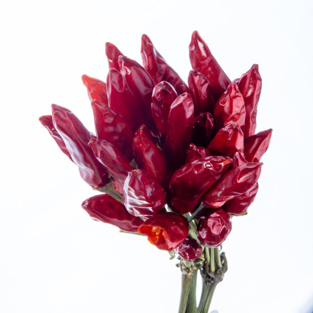 干红辣椒图片下载