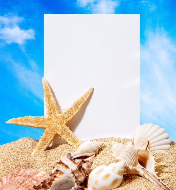 海滩。图片下载