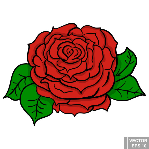 花。玫瑰花朵。手工绘图。电路。工厂。为你的设计。图片下载