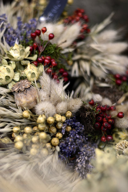 冬天的花装饰图片下载