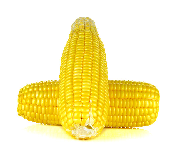 孤立在白色背景上的甜玉米穗图片下载