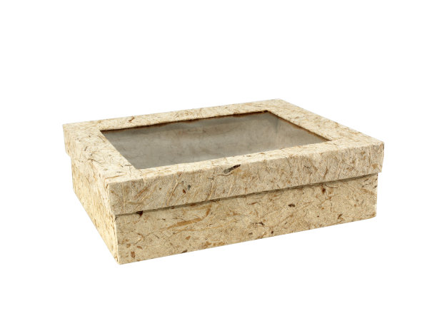 白色背景上孤立的桑葚纸盒图片下载